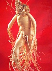 Produits Naturels Pour Agrandir le Pénis: Méthodes Efficaces