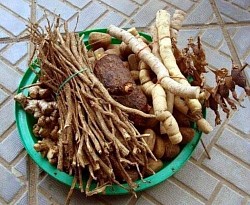 Produits Naturels Pour Agrandir le Pénis: Méthodes Efficaces