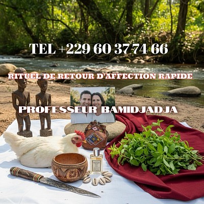 Retour affectif rapide en Suisse Genève