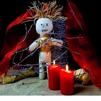 Retour affectif rapide en 24h